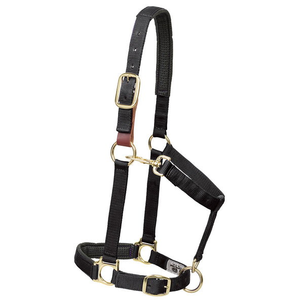 Weaver Breakaway Padded Nylon Halter